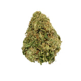 ACAPULCO GOLD 3.5g x 8ct DISPLAY