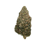 CHAMPAGNE MIMOSA 28g JUG