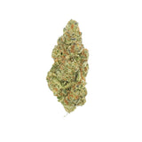 GRAPE GAS 3.5g x 8ct DISPLAY