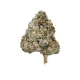 TROPICANA DIESEL 28g JUG