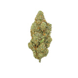 LEMON POUND CAKE 3.5g x 8ct DISPLAY